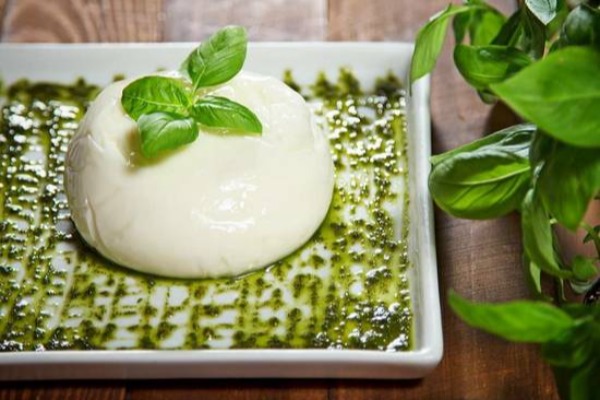 Burrata